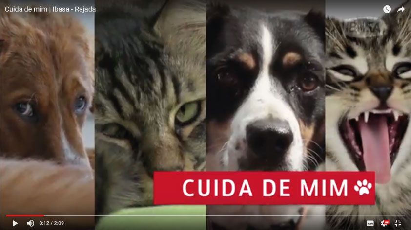 Cuida de mim | Ibasa - SIAM