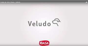 Vídeo mostra ação de dermocalmantes no tratamento de Pets